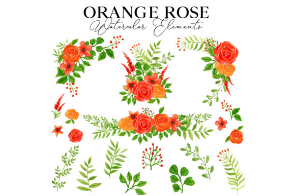 Orange Rose Watercolor Elements